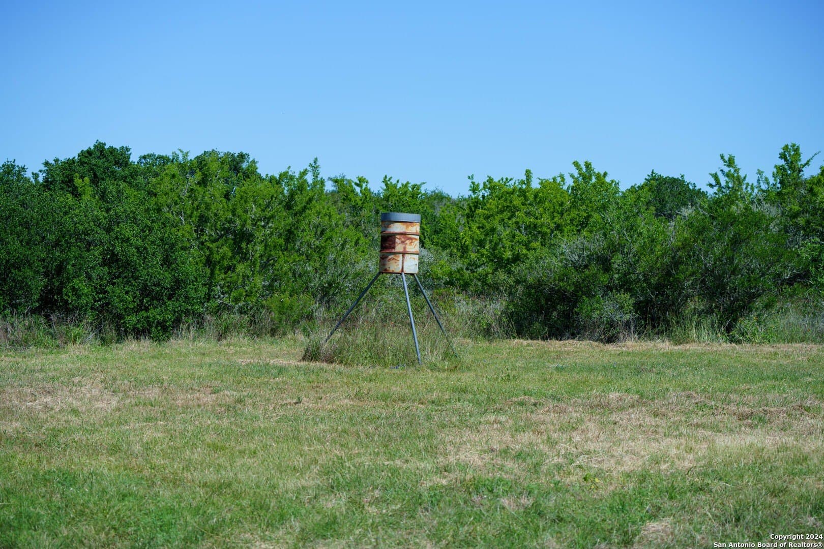 48.25 acres in Live Oak County - photo 12
