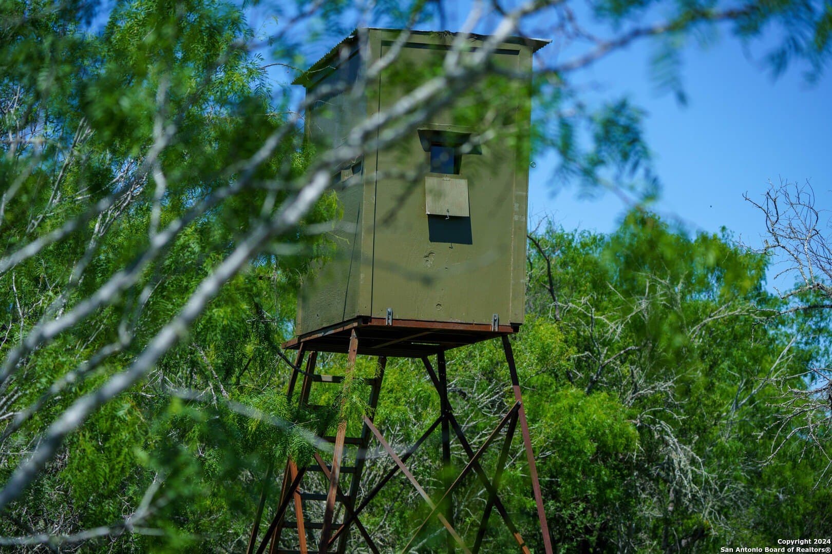 48.25 acres in Live Oak County - photo 30
