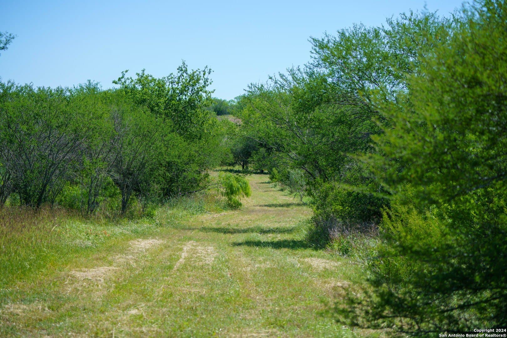 48.25 acres in Live Oak County - photo 29