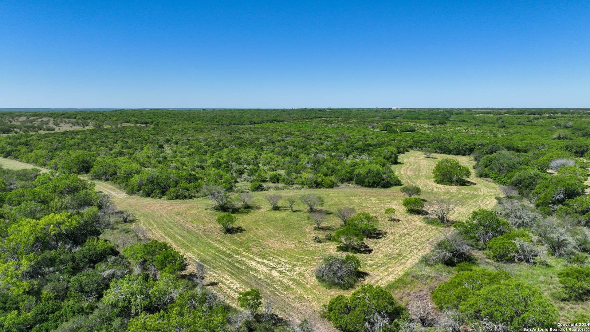 48.25 acres in Live Oak County - photo 17