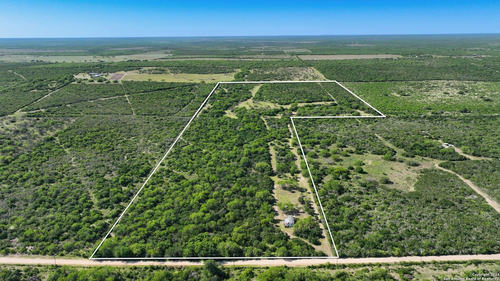 48.25 acres in Live Oak County gallery image 3