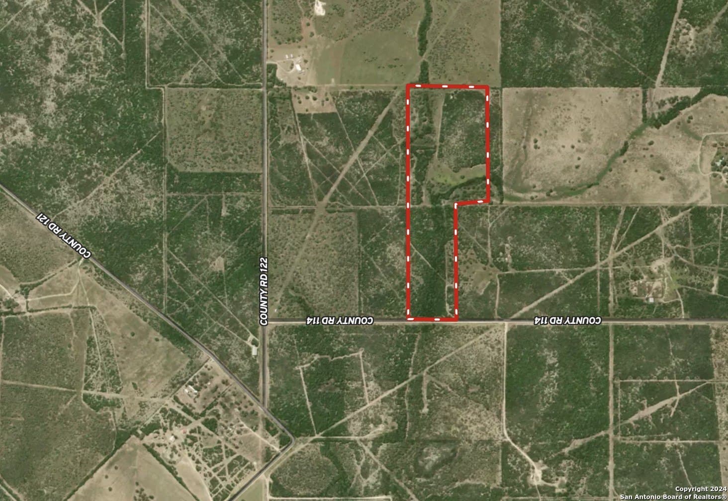 48.25 acres in Live Oak County gallery image 4