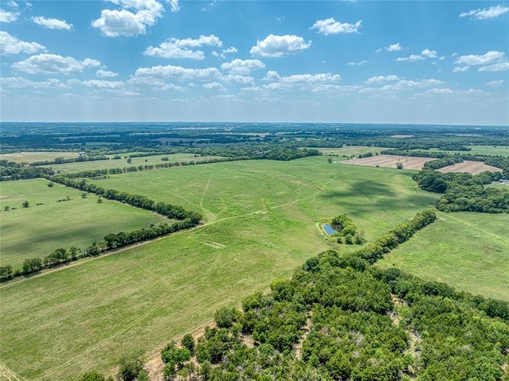 216 acres in Grayson County featured view