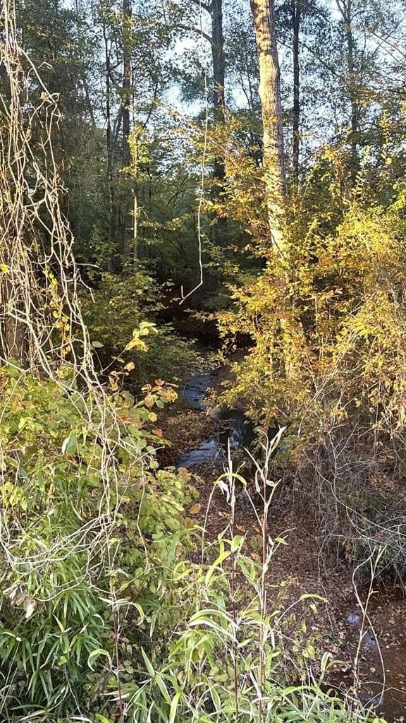 15 acres in Texas County - photo 5