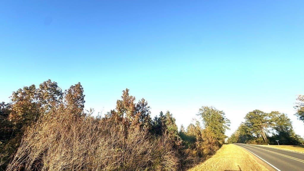 15 acres in Texas County - photo 4