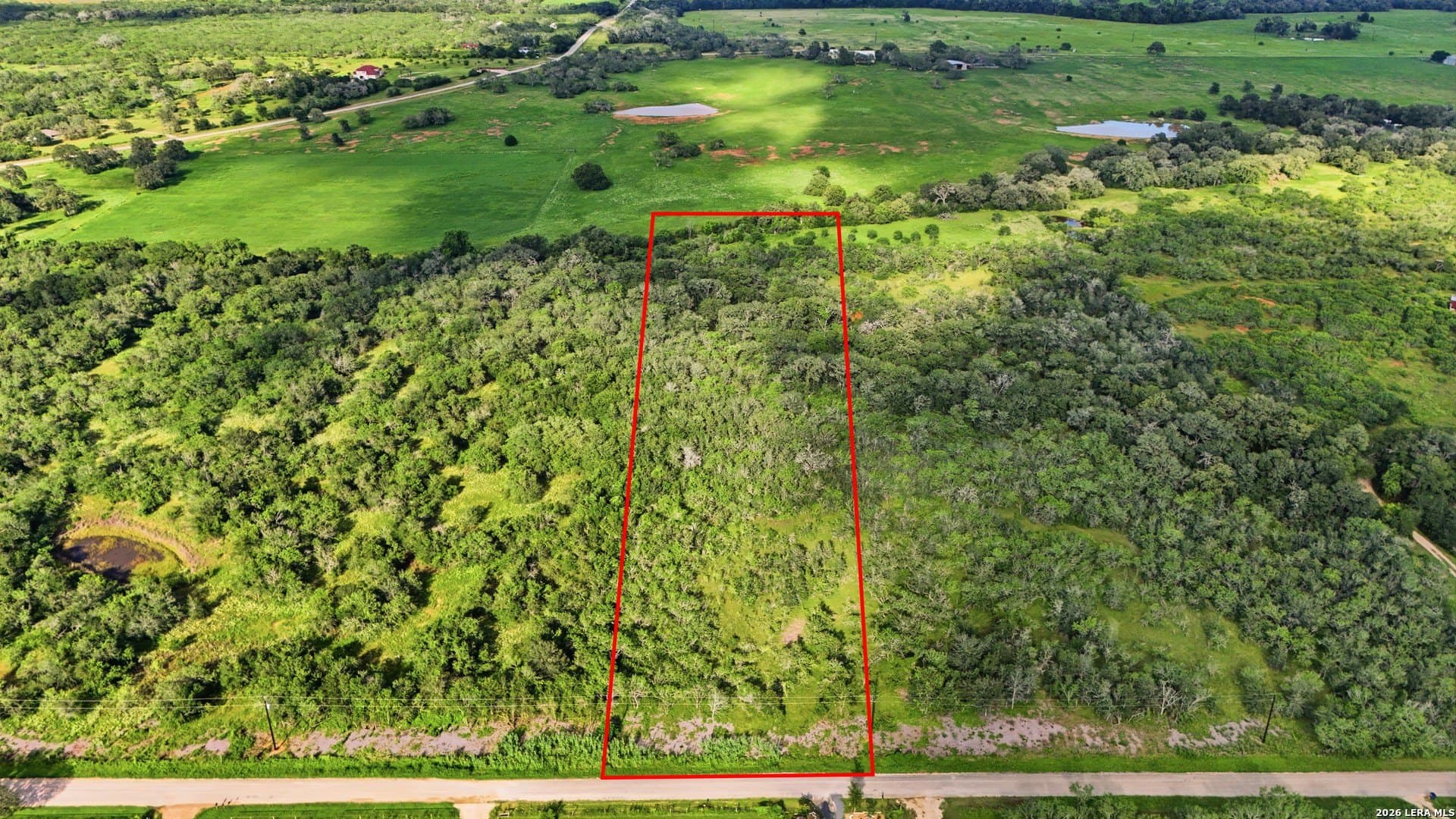 4.61 acres in Guadalupe County gallery image 3