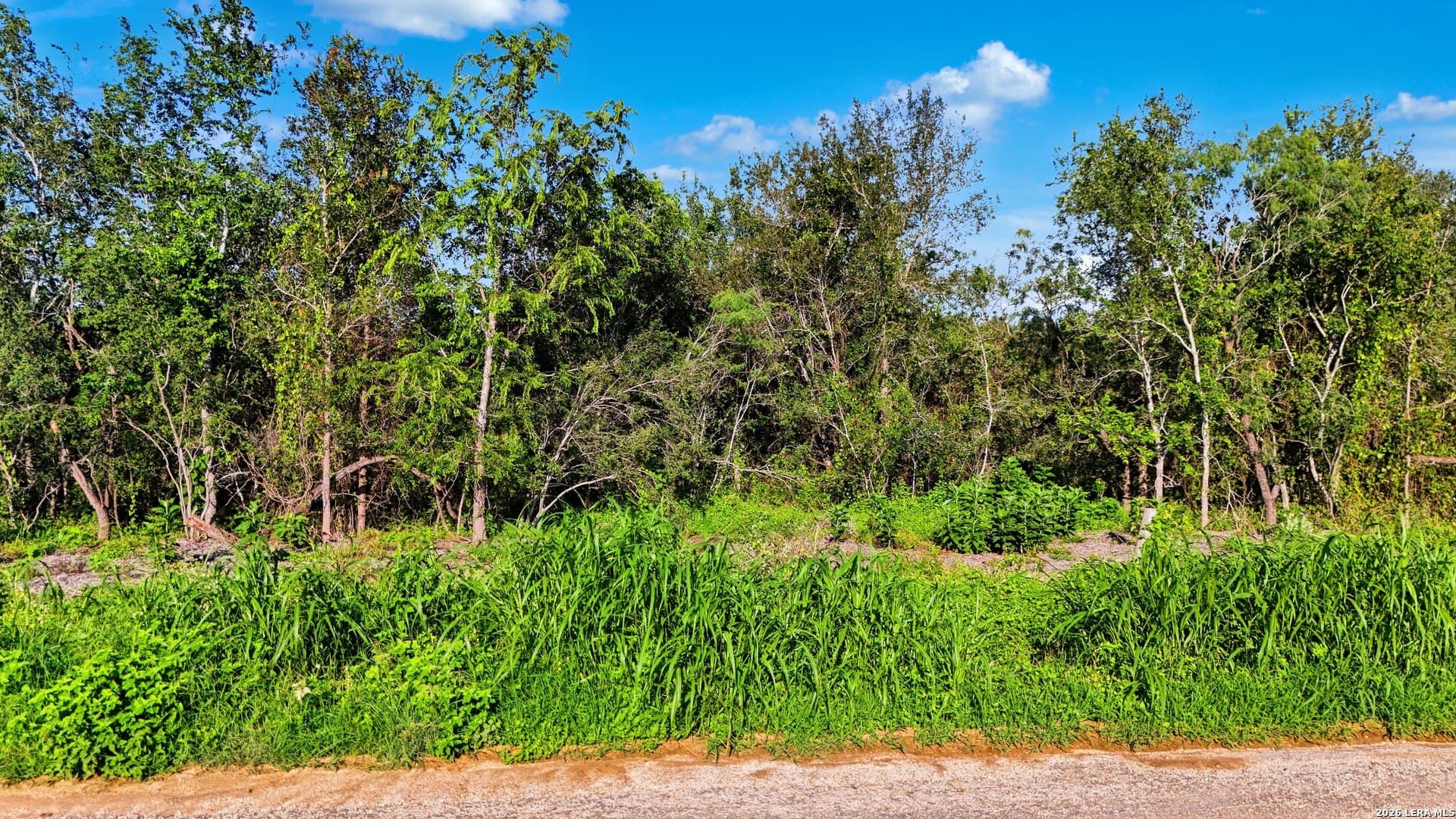 4.61 acres in Guadalupe County gallery image 2