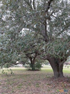 0.76 acres in Victoria County - photo 12