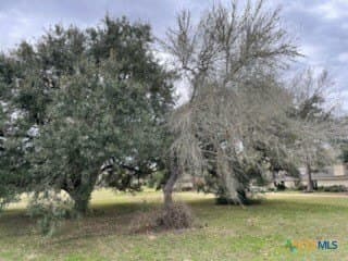 0.76 acres in Victoria County - photo 14