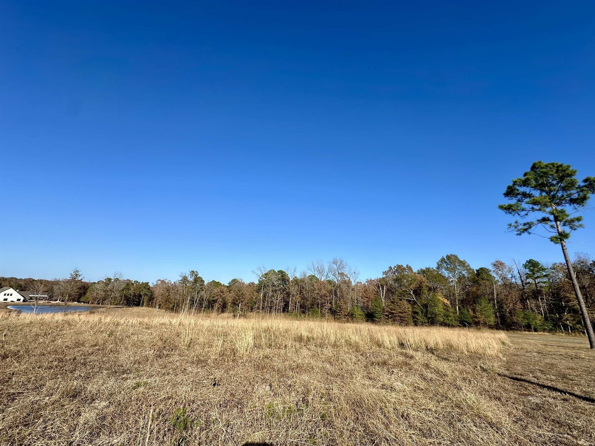 1.68 acres in Texas County gallery image 3
