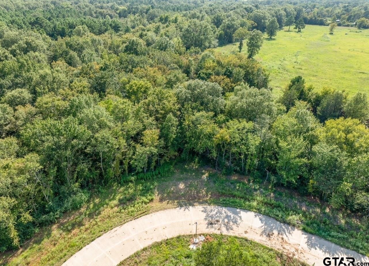 0.64 acres in Smith County gallery image 4