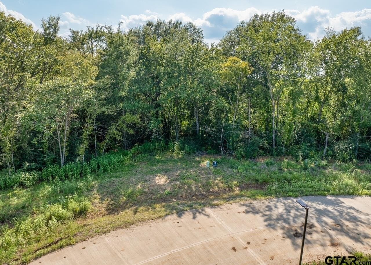 0.64 acres in Smith County gallery image 3