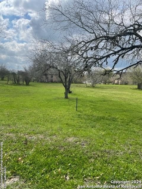 0.41 acres in De Witt County gallery image 2