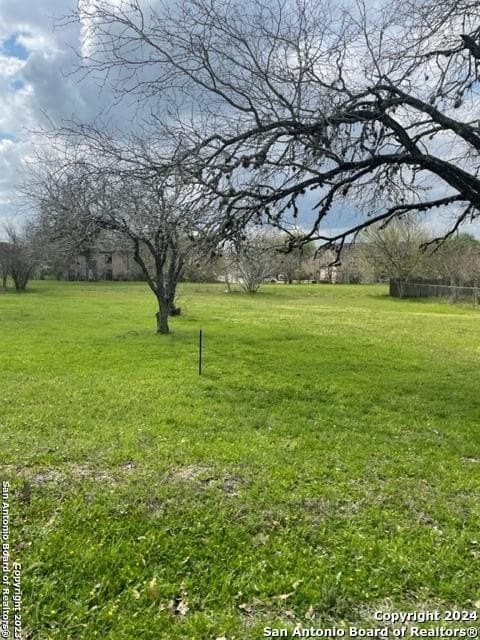 0.41 acres in De Witt County gallery image 3