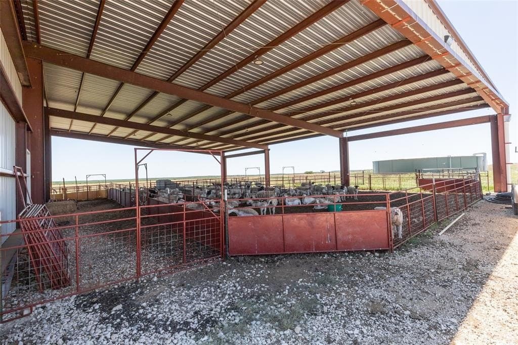 535.5 acres in Taylor County gallery image 4