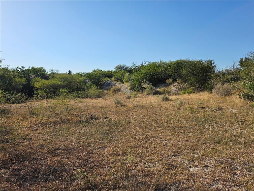 95.08 acres in San Patricio County - photo 43