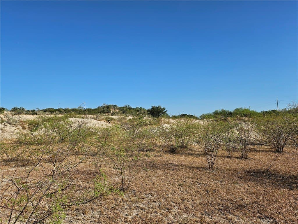 95.08 acres in San Patricio County - photo 41
