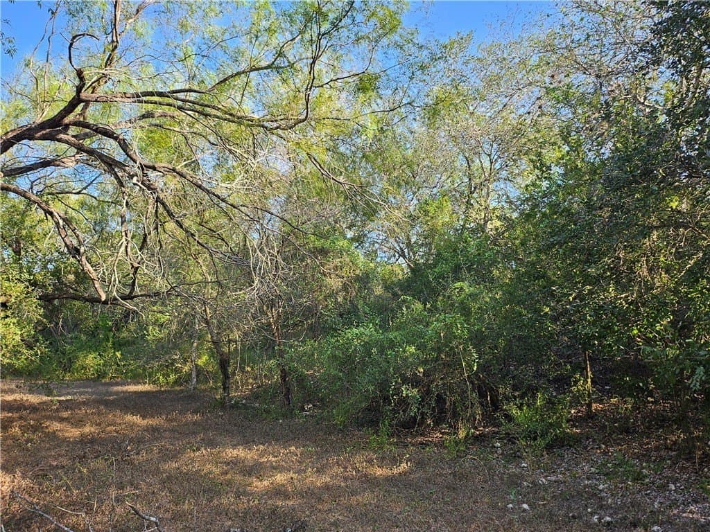 95.08 acres in San Patricio County - photo 52