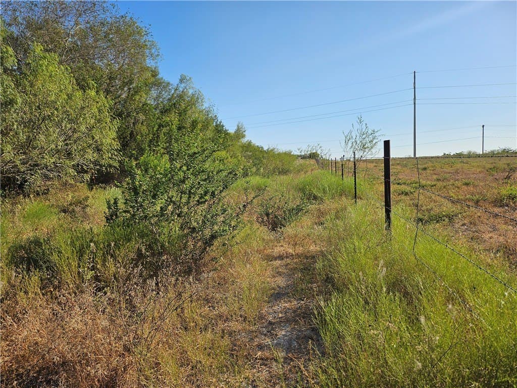 95.08 acres in San Patricio County - photo 51