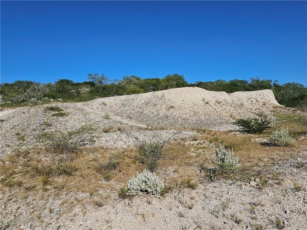 95.08 acres in San Patricio County - photo 33