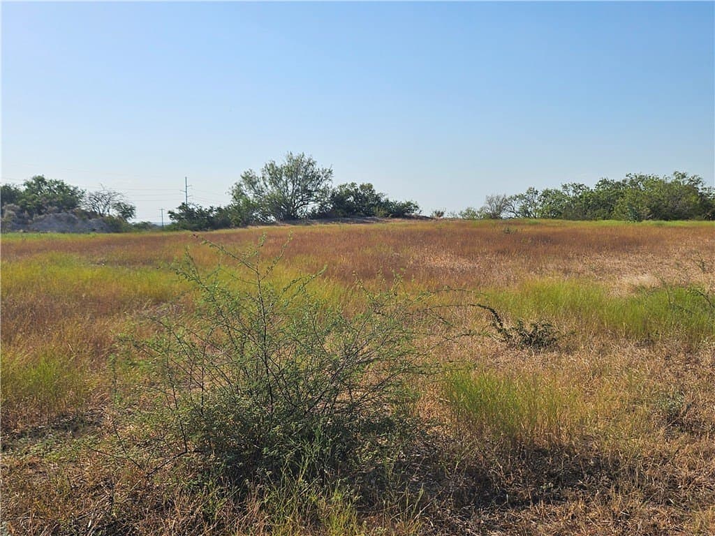 95.08 acres in San Patricio County - photo 27