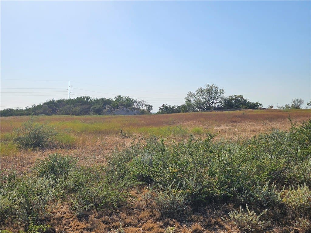 95.08 acres in San Patricio County - photo 25