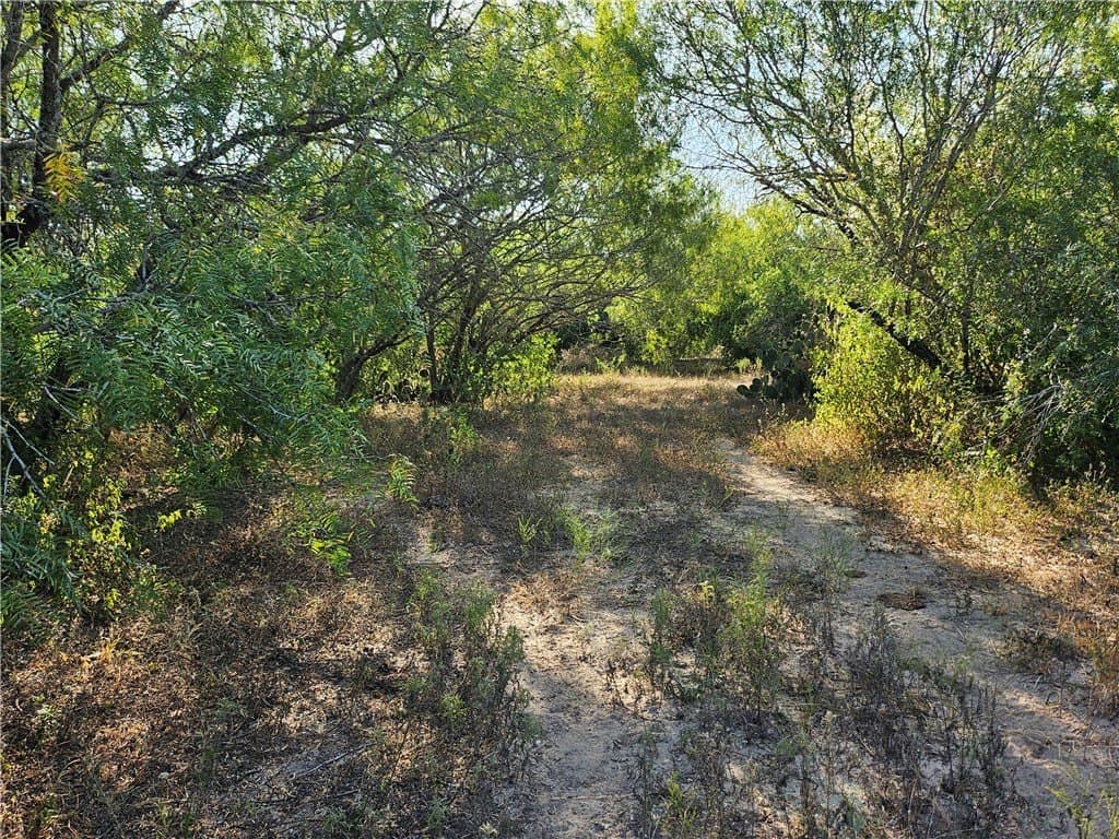 95.08 acres in San Patricio County - photo 46