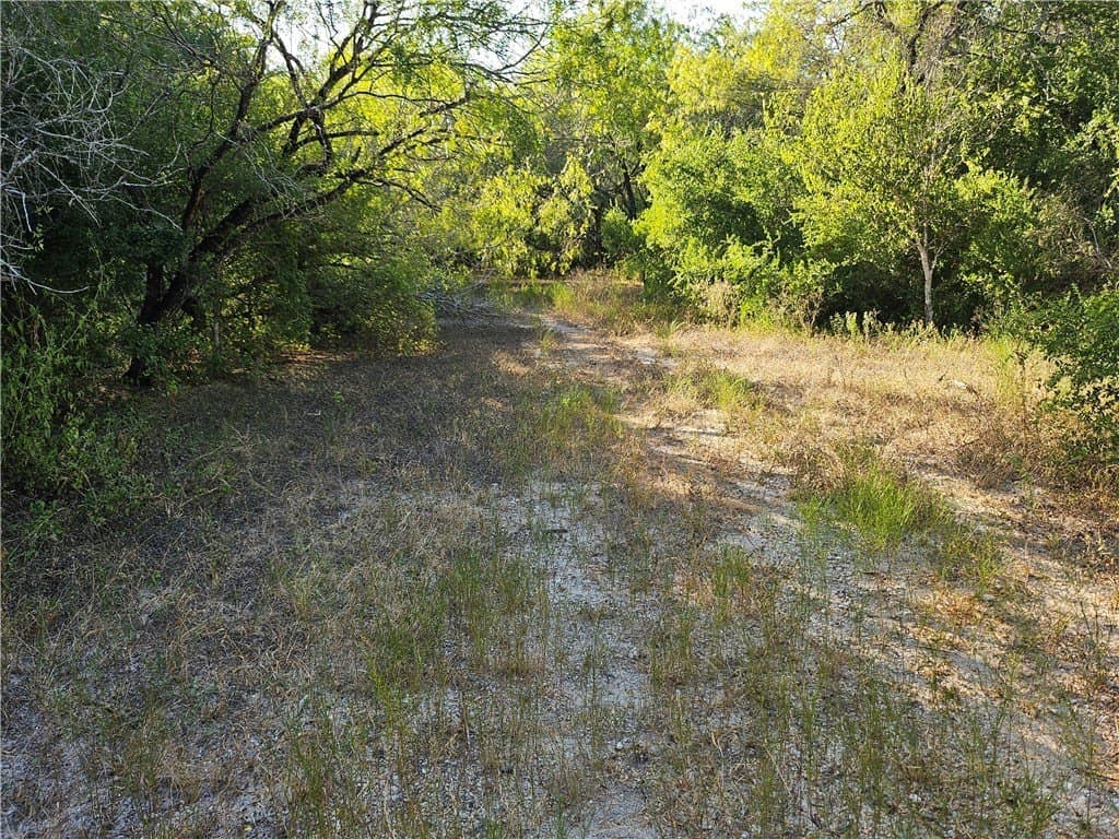95.08 acres in San Patricio County - photo 48