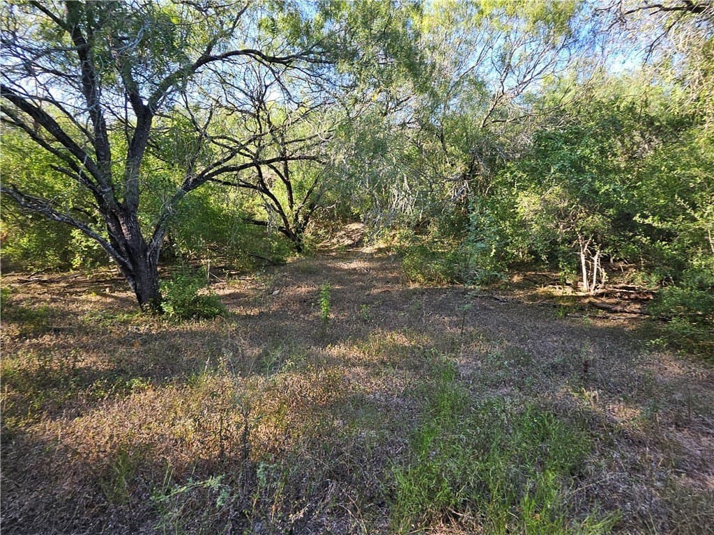 95.08 acres in San Patricio County - photo 49