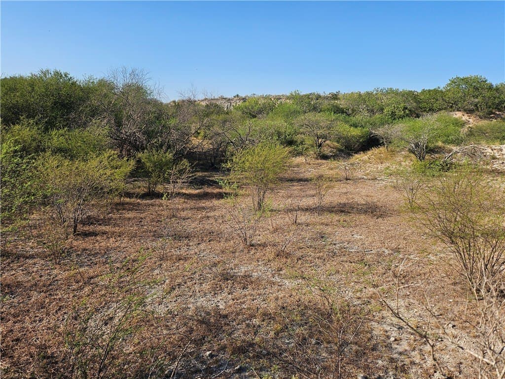 95.08 acres in San Patricio County - photo 40