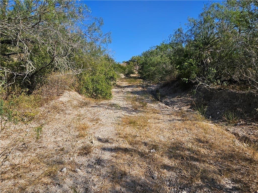95.08 acres in San Patricio County - photo 31