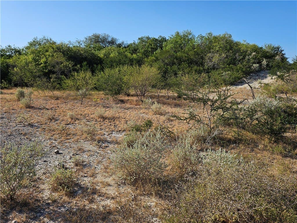 95.08 acres in San Patricio County - photo 45