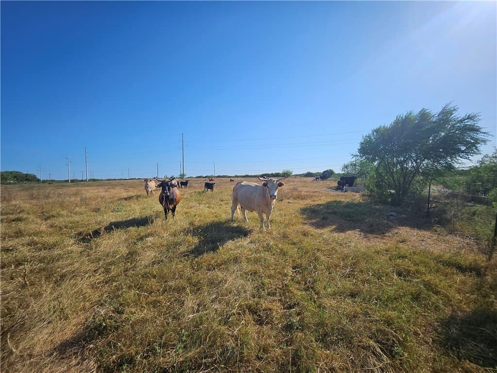 95.08 acres in San Patricio County - photo 22