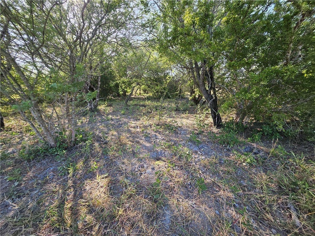 95.08 acres in San Patricio County - photo 34