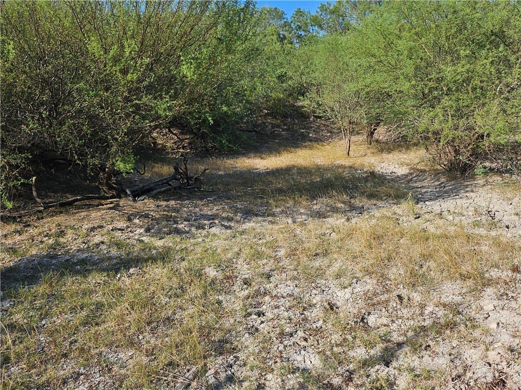 95.08 acres in San Patricio County - photo 42