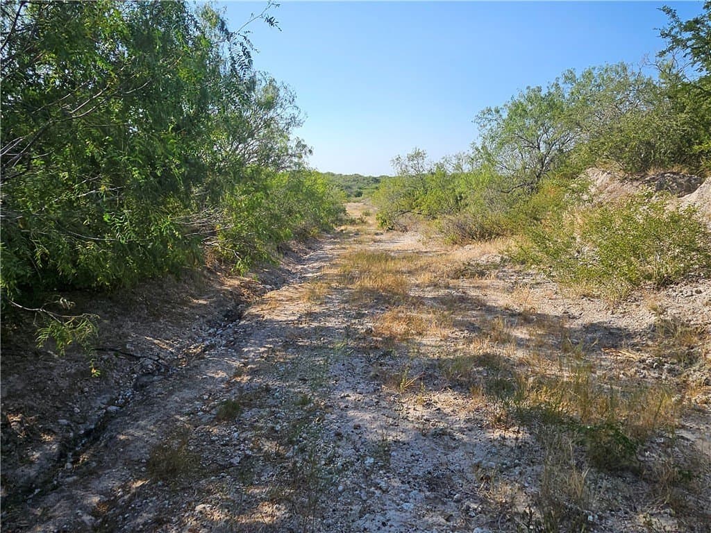 95.08 acres in San Patricio County - photo 29