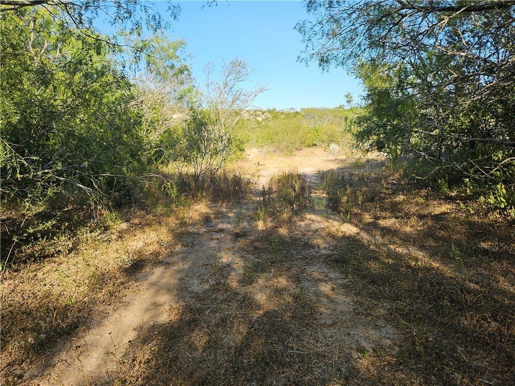 95.08 acres in San Patricio County - photo 47
