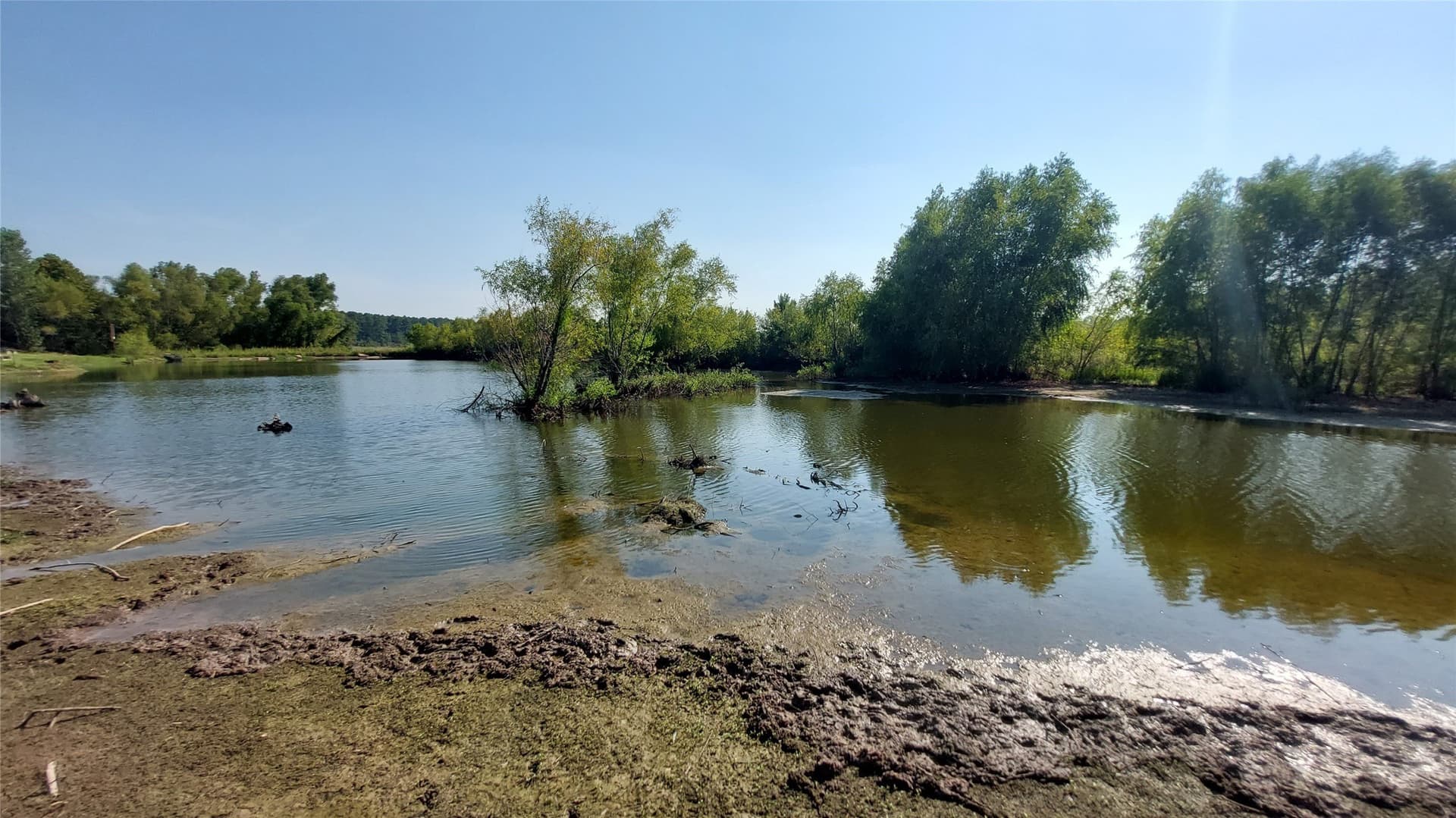 92.35 acres in Bowie County - photo 14