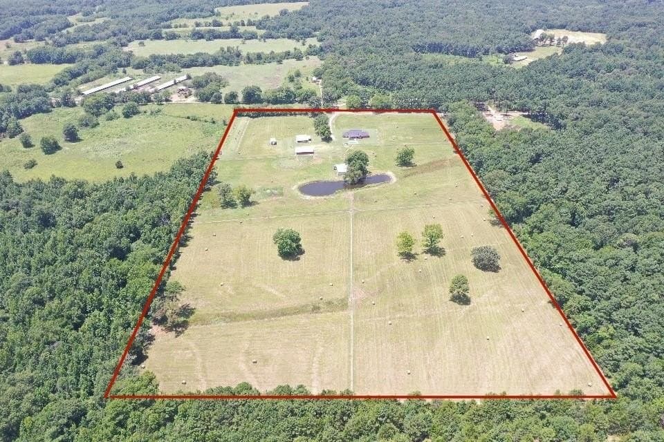 28.49 acres in Camp County gallery image 4