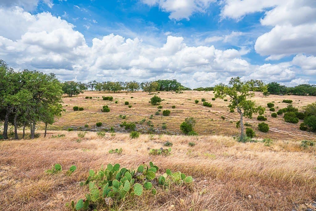 4.33 acres in Gillespie County gallery image 2