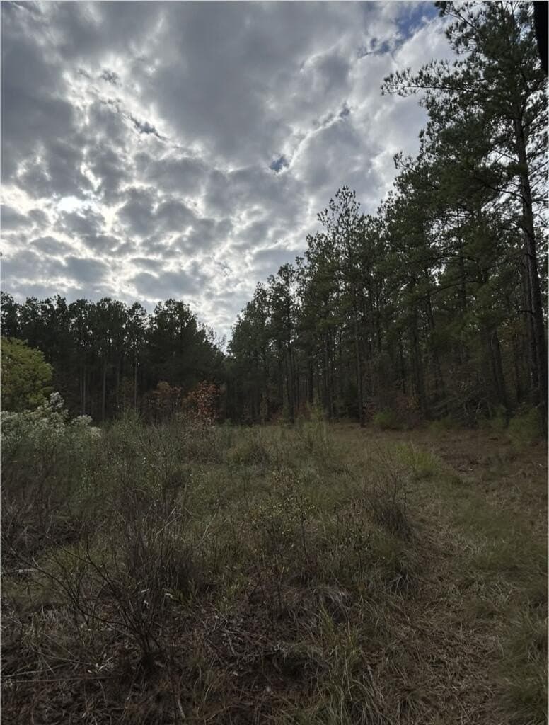 200 acres in Texas County - photo 7