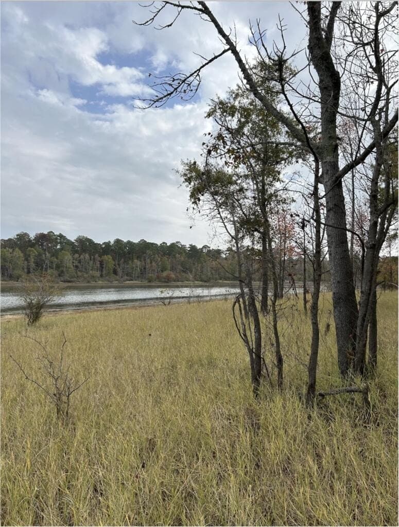 200 acres in Texas County - photo 12