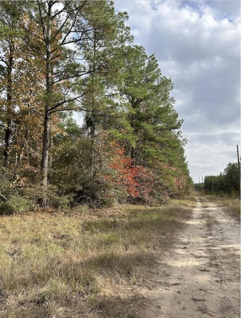 200 acres in Texas County - photo 4