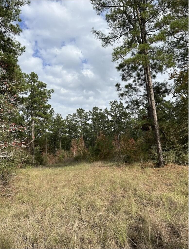 200 acres in Texas County - photo 5