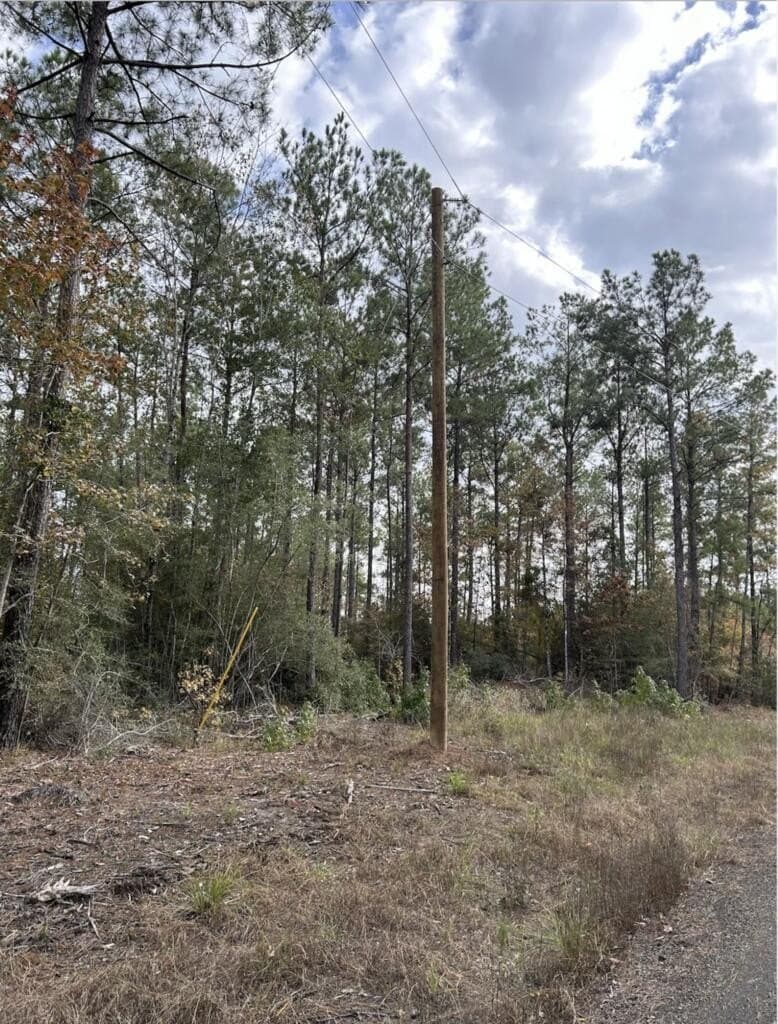 200 acres in Texas County - photo 6