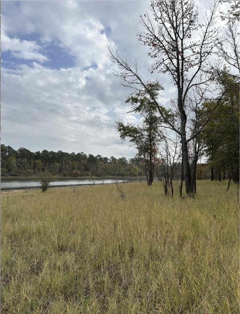 200 acres in Texas County - photo 11