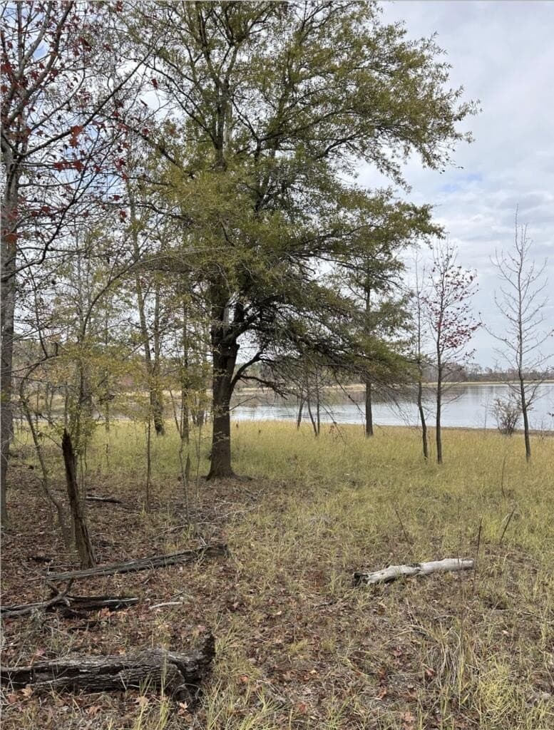 200 acres in Texas County - photo 13