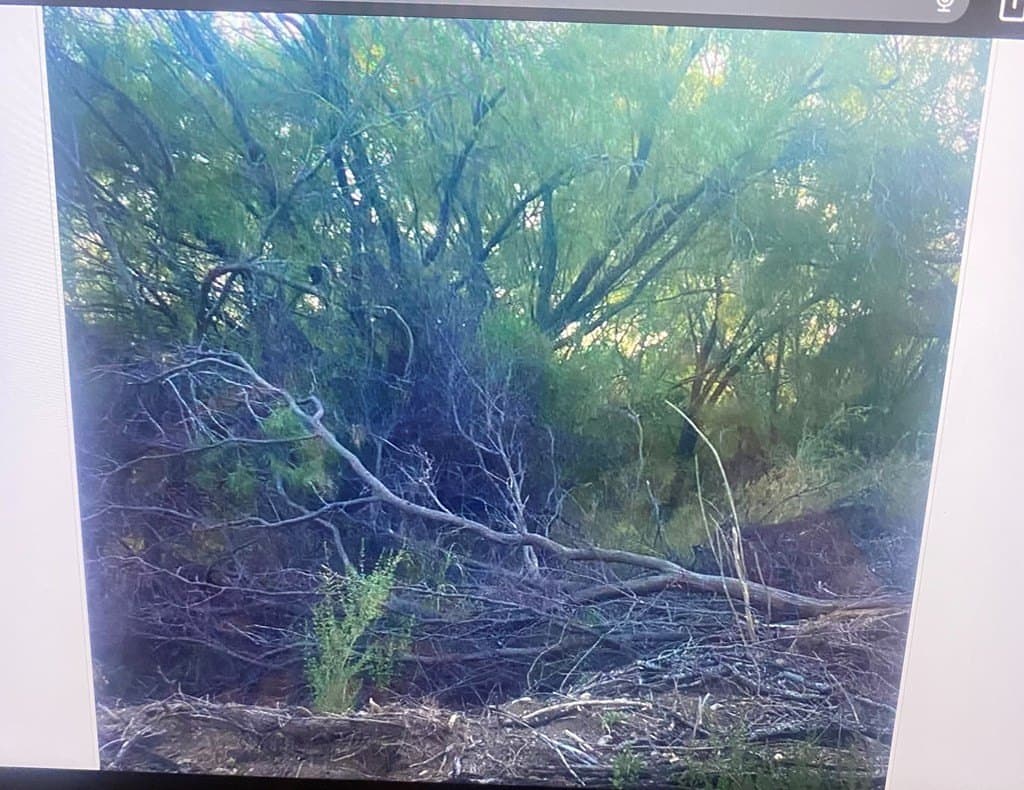 0.43 acres in Maverick County - photo 2