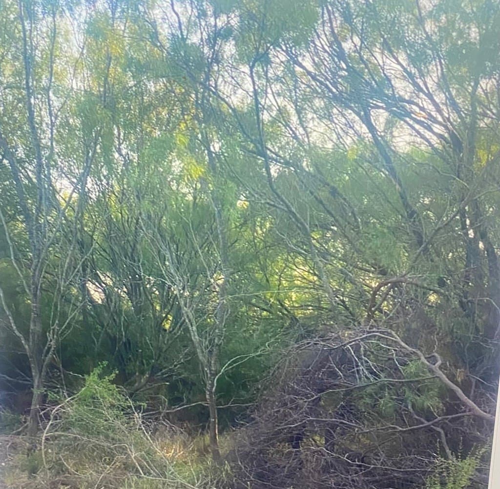 0.43 acres in Maverick County - photo 3