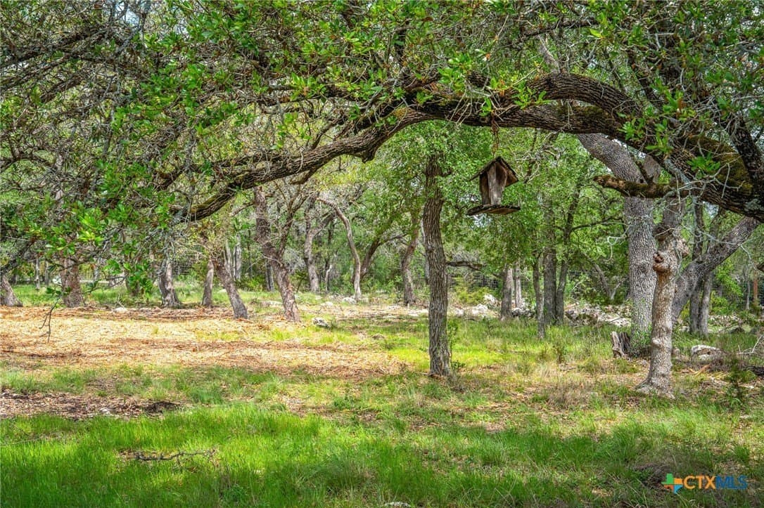 20.04 acres in Comal County - photo 8